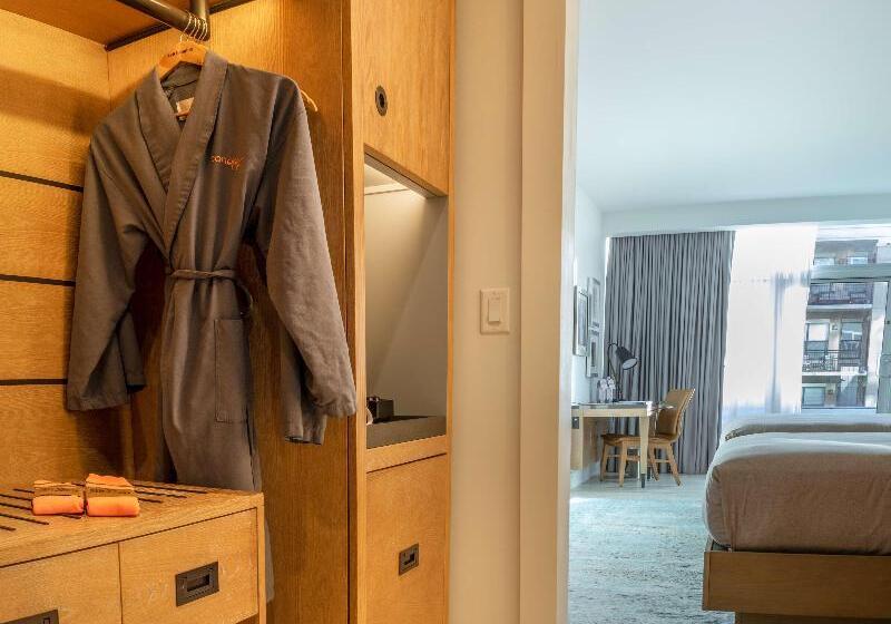 Номер Стандарт с Террасой, Canopy By Hilton Dallas Uptown