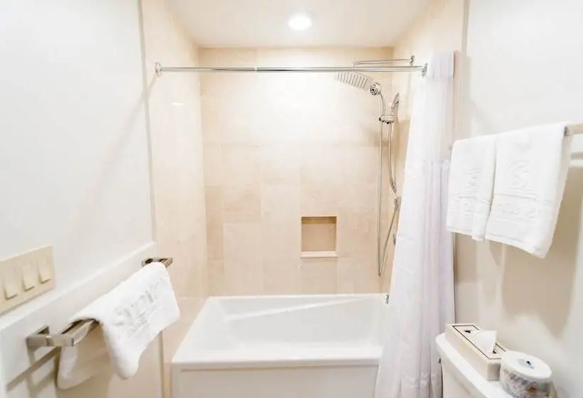 ペントハウスルーム, Sydney Boutique Inn & Suites