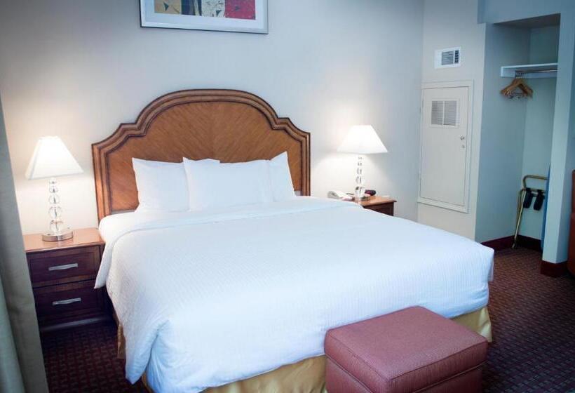 غرفة قياسية سرير كينج, Clariana