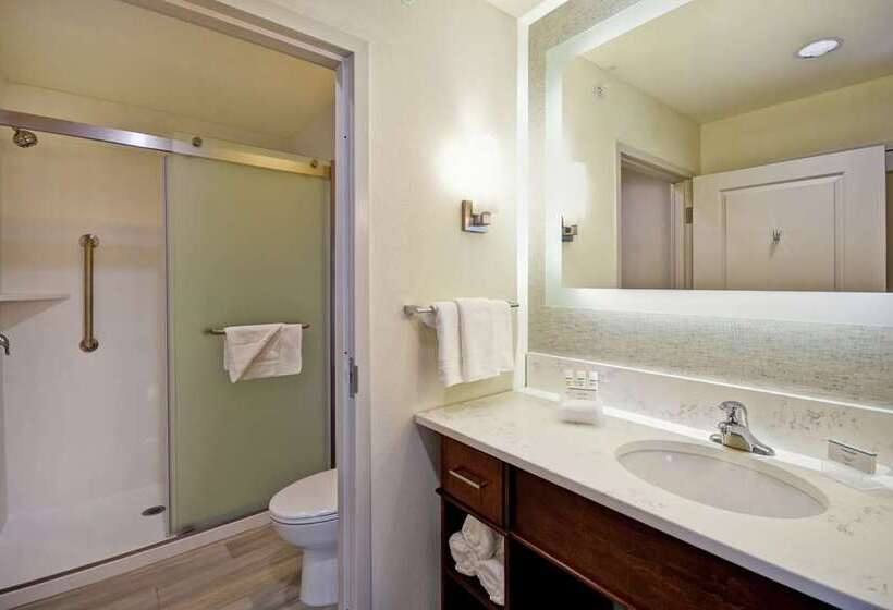 استودیو استاندارد با تخت کینگ, Homewood Suites By Hilton Raleigh Cary I40