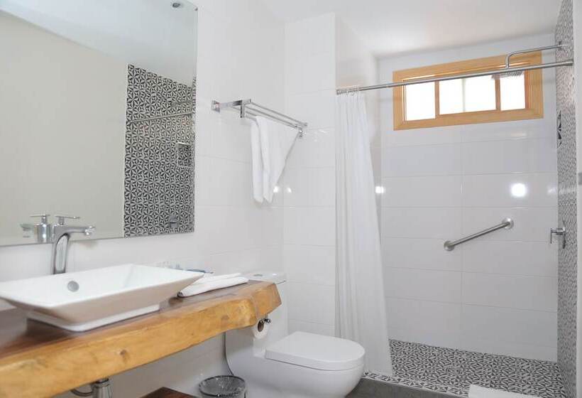 스탠다드 싱글 룸, Kaleo Hotel Boutique