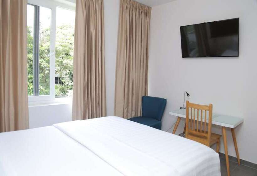 스탠다드 싱글 룸, Kaleo Hotel Boutique