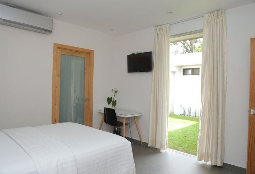 스탠다드 싱글 룸, Kaleo Hotel Boutique