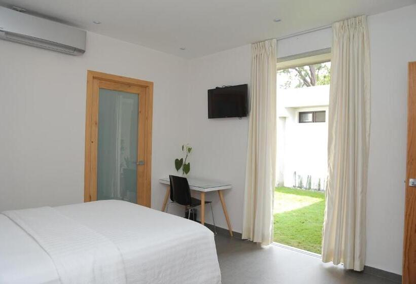 스탠다드 룸, Kaleo Hotel Boutique