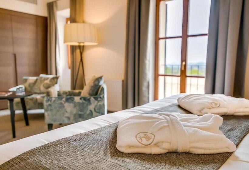 Номер Deluxe Кровать Кинг, Carrossa Hotel & Spa