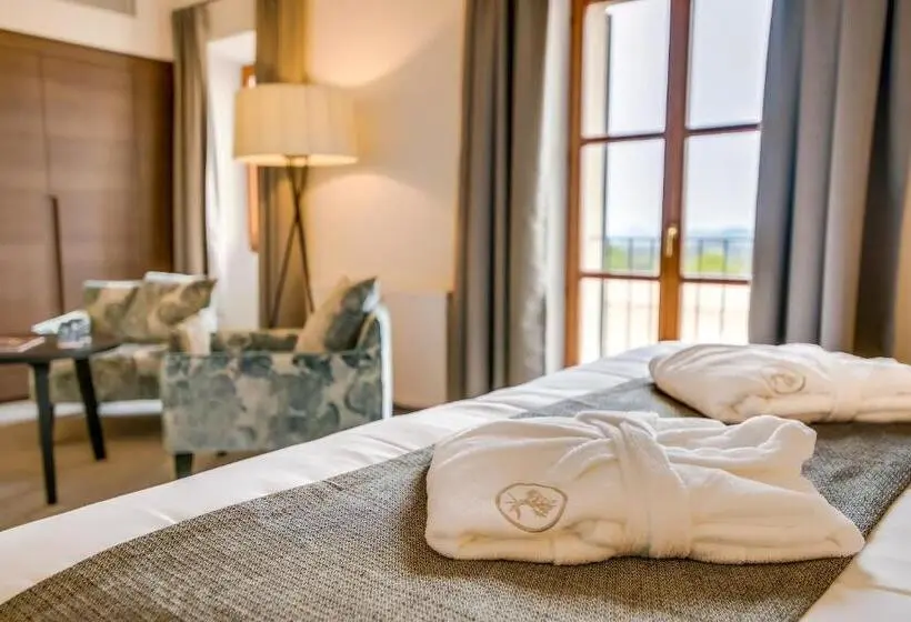 キングサイズベッドのデラックスルーム, Carrossa Hotel & Spa