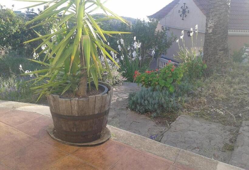 Номер Стандарт, Pension Amparo Las Hayas