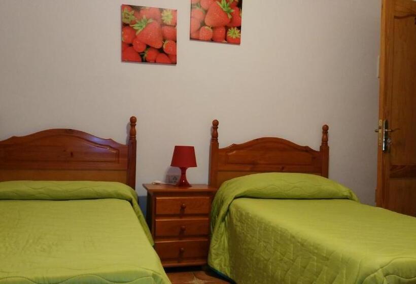 Номер Стандарт, Pension Amparo Las Hayas