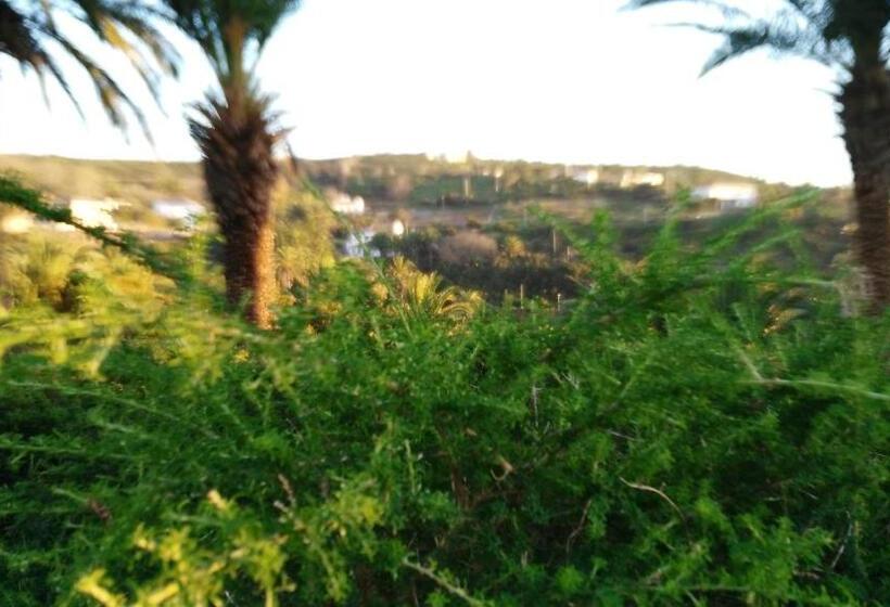 Номер Стандарт Трехместный, Pension Amparo Las Hayas