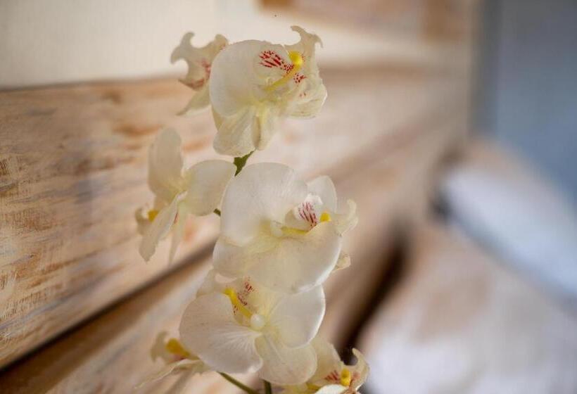 스탠다드 스튜디오 정원 전망, Villa Del Sol Corfu