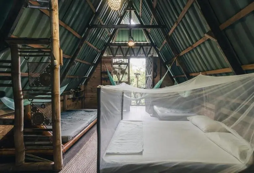Familiekamer, Poleo