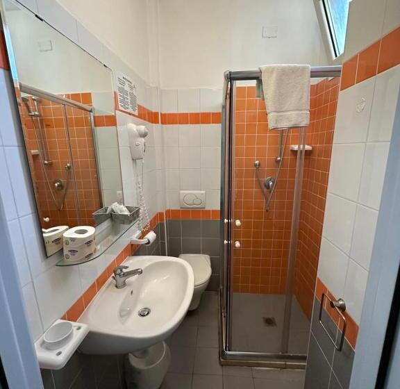 اتاق استاندارد با چشمانداز شهر, Austria