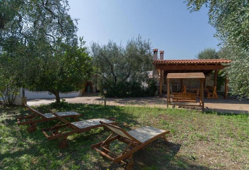 １ベッドルームアパートメント, Borghetto Tio Pepe