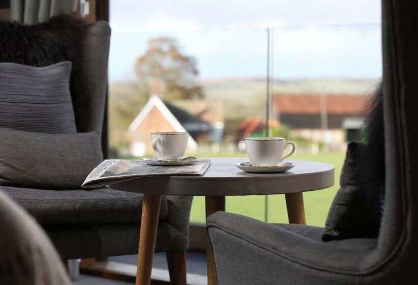 豪华房间, The Jack Russell