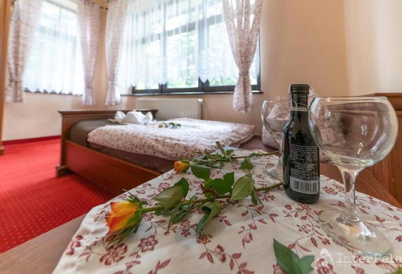 四人标准间, Willa Słoneczna Róża Pobyt Ze śniadaniami