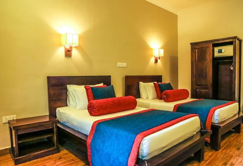 חדר סופריור, Oak Ray Ella Gap