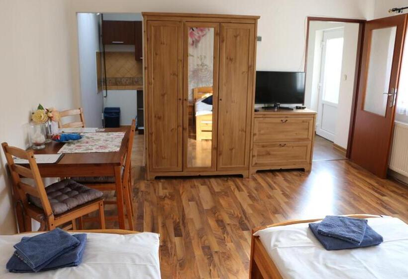 آپارتمان 1 خوابه, Penzion 4 Dvory