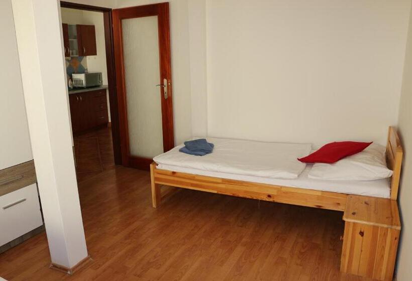 آپارتمان 2 خوابه, Penzion 4 Dvory