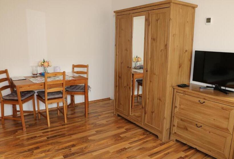 آپارتمان 1 خوابه, Penzion 4 Dvory