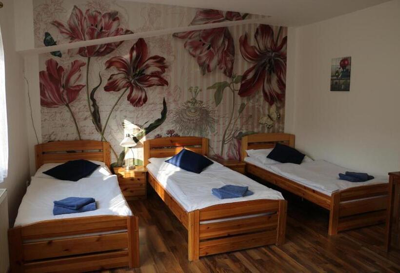 آپارتمان 1 خوابه, Penzion 4 Dvory