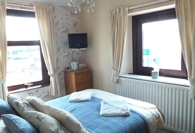 Standard-huone, Tynedale Guest House