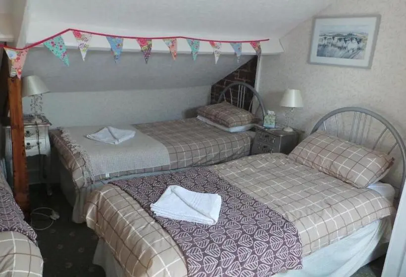 Standard Kolmen Hengen Huone, Tynedale Guest House