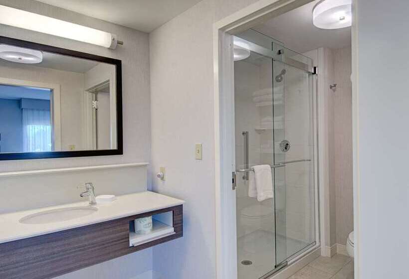 标准工作室, Hampton Inn & Suites Atlanta Buckhead Place