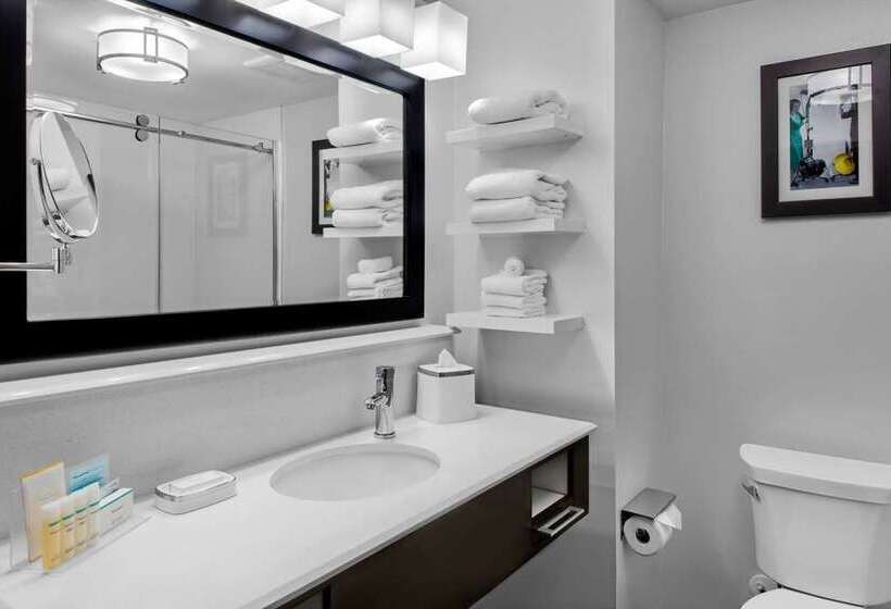 标准工作室, Hampton Inn & Suites Atlanta Buckhead Place