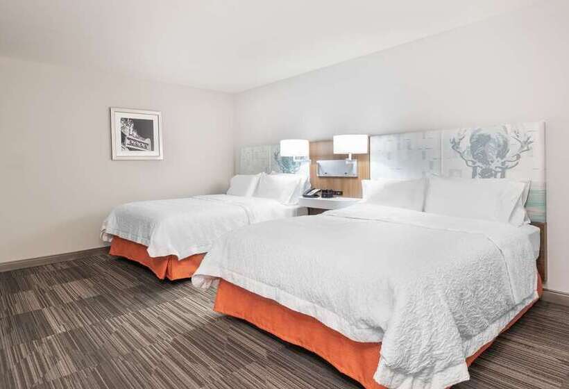 身障者適用スタンダードルーム, Hampton Inn & Suites Atlanta Buckhead Place