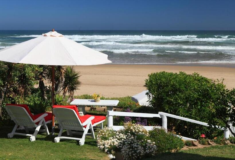 Апартаменты 1 Спальня Вид на Море, Haus Am Strand   On The Beach
