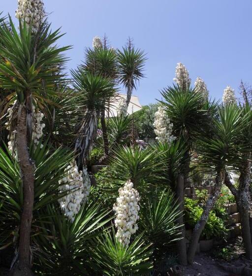 带阳台套房, Haus Am Strand On The Beach