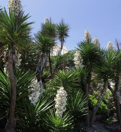 豪华套房, Haus Am Strand On The Beach