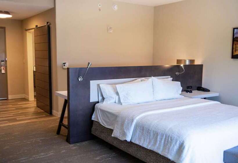 غرفة قياسية سرير كينج, Hilton Garden Inn Waco