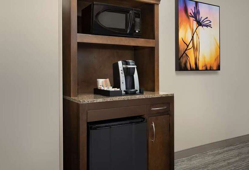 غرفة قياسية سرير كينج, Hilton Garden Inn Waco