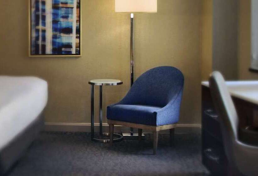 غرفة قياسية لذوى الاحتياجات الخاصة, Hilton Garden Inn Waco