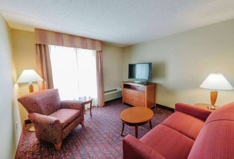 غرفة قياسية لذوى الاحتياجات الخاصة, Hilton Garden Inn Waco