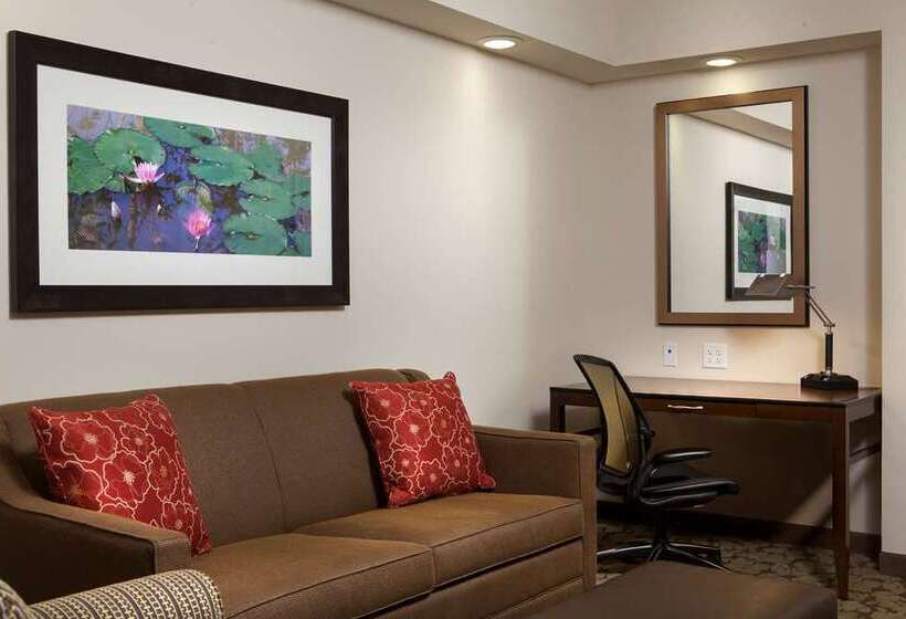 غرفة قياسية لذوى الاحتياجات الخاصة, Hilton Garden Inn Waco