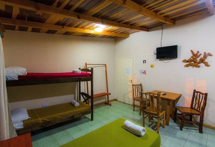 패밀리 룸, Posada Los Tajibos