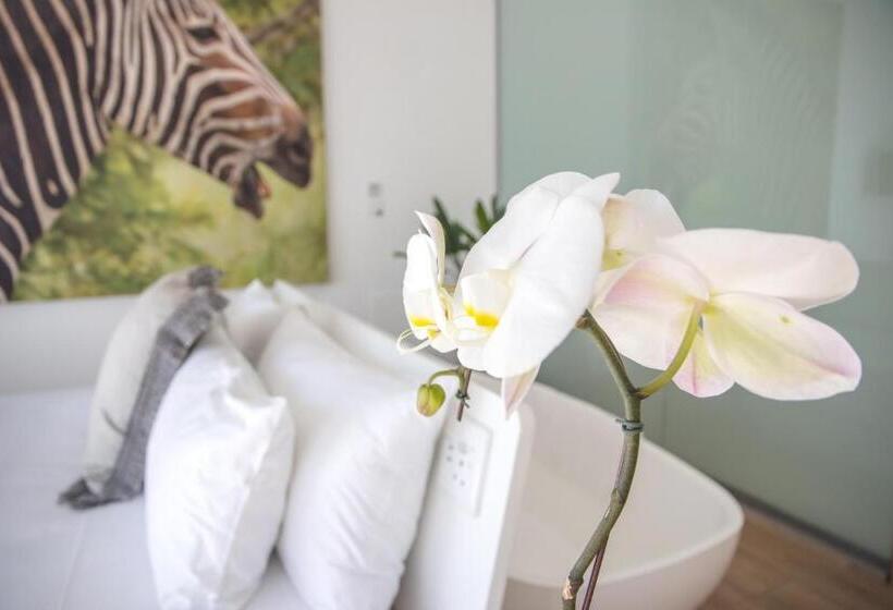 اتاق سوپریور با تخت بزرگ, Thelab Franschhoek