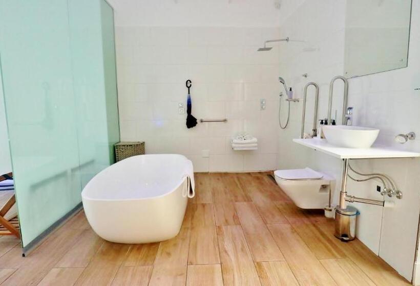 اتاق سوپریور با تخت بزرگ, Thelab Franschhoek