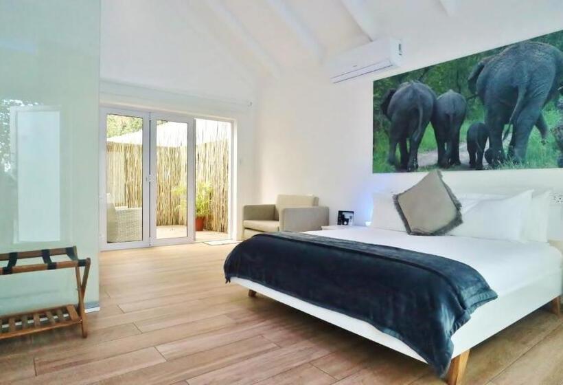 اتاق سوپریور با تخت بزرگ, Thelab Franschhoek