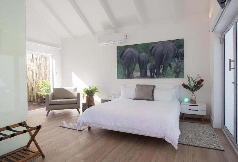 اتاق سوپریور با تخت بزرگ, Thelab Franschhoek