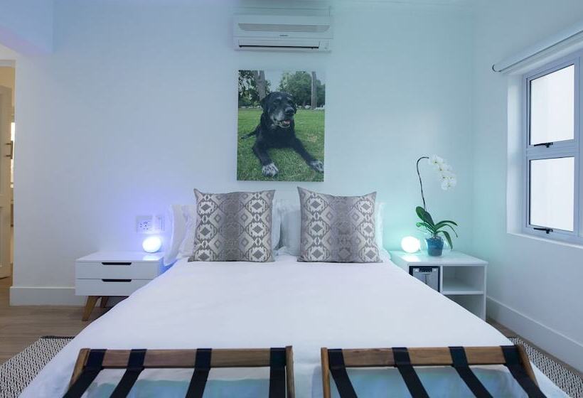 اتاق اکونومی, Thelab Franschhoek