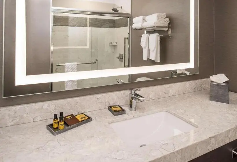 スタンダードルーム, Best Western Plus Temecula Wine Country Hotel & Suites