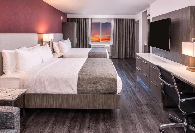 标准间, Best Western Plus Temecula Wine Country Hotel & Suites