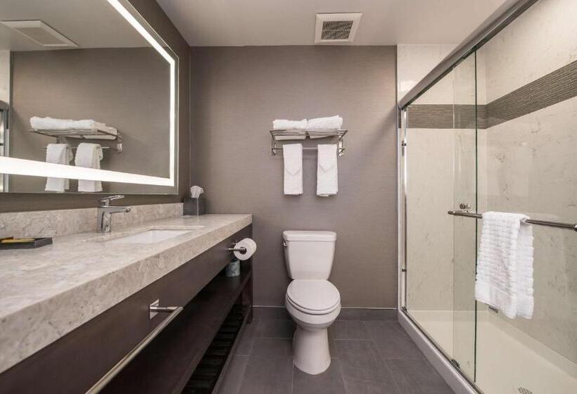 带大床的套房, Best Western Plus Temecula Wine Country Hotel & Suites