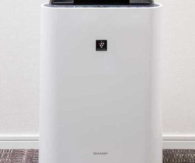 סוויטה, Gran Cerezo Kagoshima