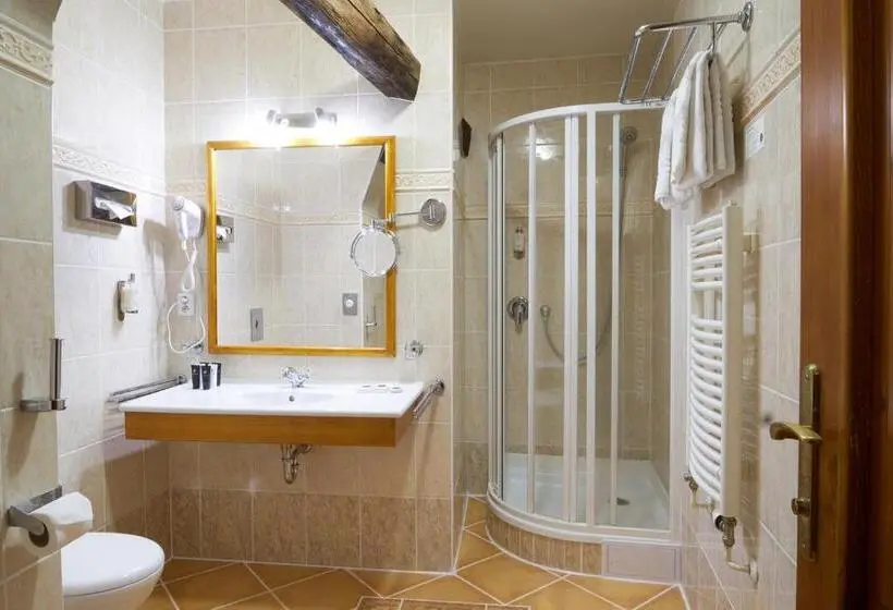 اتاق استاندارد, Josephine Old Town Square Hotel Czech Leading Hotels