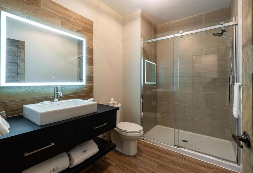 带1个卧室带观景的公寓, Le Viking Resort & Marina