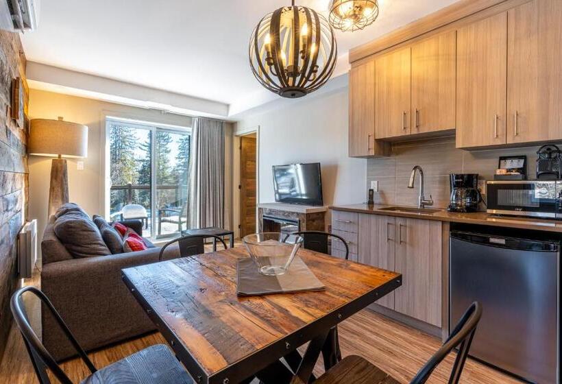 带1个卧室的公寓, Le Viking Resort & Marina